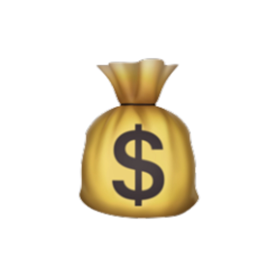 money bag
