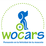 cliente wocars